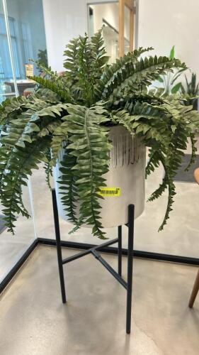 (1) POTTED PLANT AND STAND