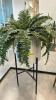 (1) POTTED PLANT AND STAND