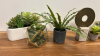 (1) LOT OF SMALL ARTIFICIAL POTTED PLANTS AND DECORE - 2