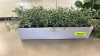 (3) ASSORTED SMALL ARTIFICAL POTTED PLANTS - 2