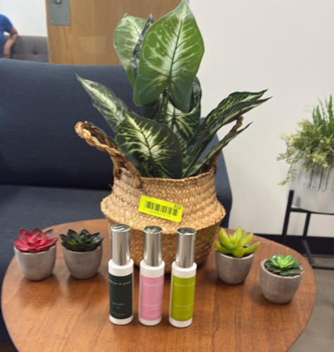 (1) ASSORTED SMALL PLANTS AND ROOM FRANGANCES