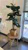 (1) 1 ARTFICAL POTTED PLANT AND (2) SIDE TABLES