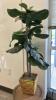 (1) 1 ARTFICAL POTTED PLANT AND (2) SIDE TABLES - 3