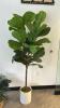 (1) ARTFICAL POTTED PLANT