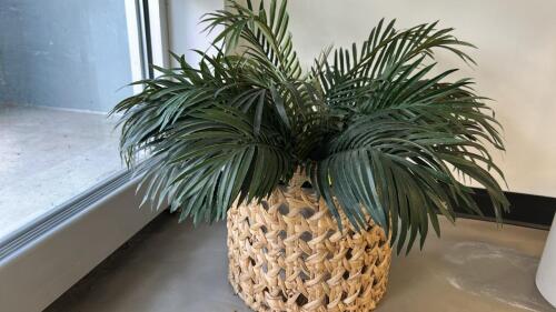 (1) ARTFICAL POTTED PLANT