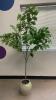 (1) ARTFICAL POTTED PLANT