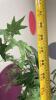 (1) ARTFICAL POTTED PLANT - 2