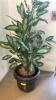 (1) ARTIFICAL POTTED PLANT