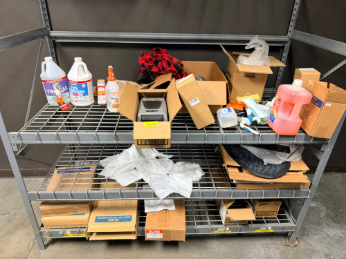 CONTENTS OF SHELF - ASSORTED CLEANING SUPPLIES AND CHEMICALS.