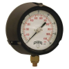 (1) PROCESS GAUGE