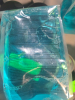 (6) ENRICHED FOAM LOTION SOAP - 2