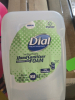 (6)FOAM HAND SANITIZER - 3