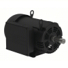 (1) AIR COMPRESSOR MOTOR