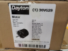 (3) MOTOR - 2