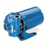 (1) CENTRIFUGAL PUMP