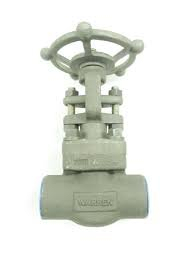 (1) GATE VALVE