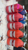 (5) ACRYLIC ART PAINTS - 2