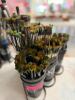 (1) ASSORTED LOT OF PAINT BRUSHES