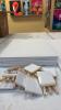 (1) LOT OF ASSORTED BLANK CANVASES - 5