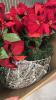 (1) LARGE BOX FO CHRISTMAS DECOR AS SHOWN - 2