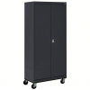 (1) STORAGE CABINET