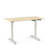 (1) STANDING DESK