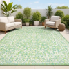 (1) AREA RUG