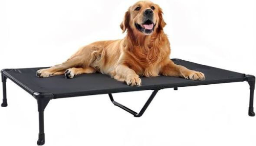 (1) DOG COT