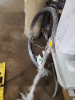 (1) BUNDLE OF (125) BALE TIES - 2