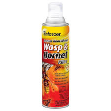 (6) WASP AND HORNET SPRAY