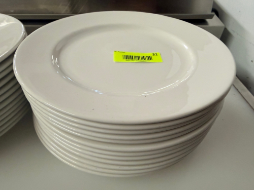 (12) 10 3/4" CHINA PLATES.