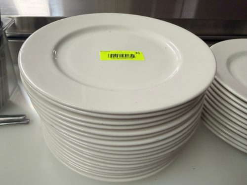 (16) 10 3/4" CHINA PLATES.