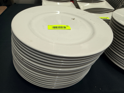 (16) 10 3/4" CHINA PLATES.