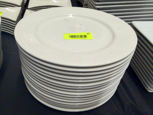 (16) 10 3/4" CHINA PLATES.