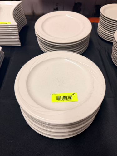 (24) 10" CHINA PLATES