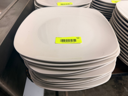 (12) 9 1/2" CHINA PLATES