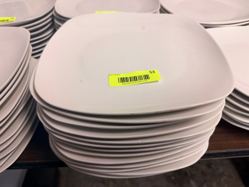 (12) 9 1/2" CHINA PLATES