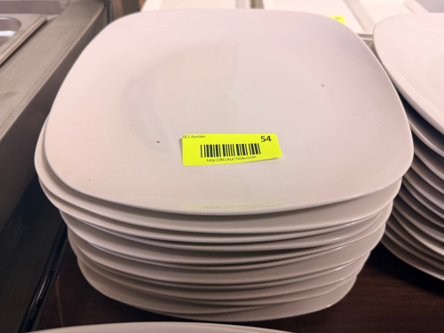 (12) 9 1/2" CHINA PLATES