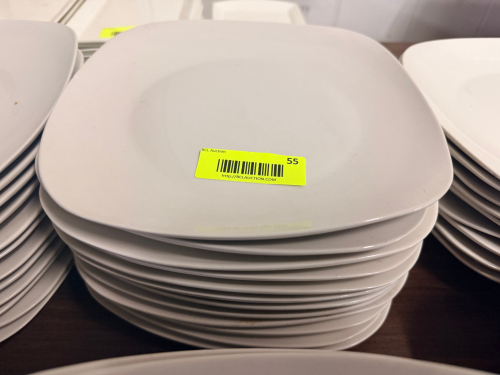 (12) 9 1/2" CHINA PLATES