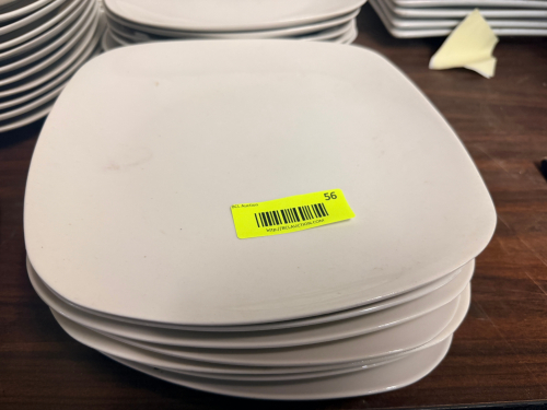 (12) 9 1/2" CHINA PLATES
