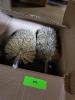 (6) WIRE BRUSHES - 2