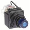 (4) PILOT LIGHT
