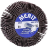 (2) FLAP DISCS