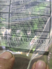 (8) AUTOFOAM HAND SANITIZER - 4