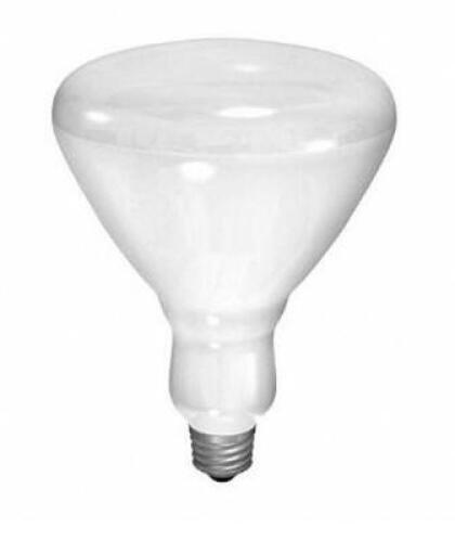 DESCRIPTION: (4) INCANDESCENT BULB BRAND/MODEL: GE CURRENT/65R40-FL-MI-1-120V INFORMATION: LUMENS: 500-730 IM/FROSTED RETAIL$: 10.38 EACH SIZE: 6-5/8"