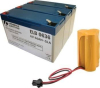 (2) SEALED LEAD ACID BATTERY