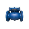 (1) CHECK VALVE WITH LEVER