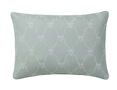 (2) DECORATIVE PILLOWS