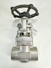 (1) GATE VALVE