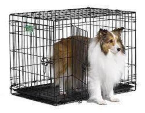 (1) DOGE CRATE